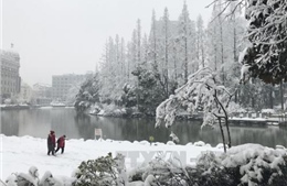 Bão tuyết tiếp tục hoành hành tại Trung Quốc 